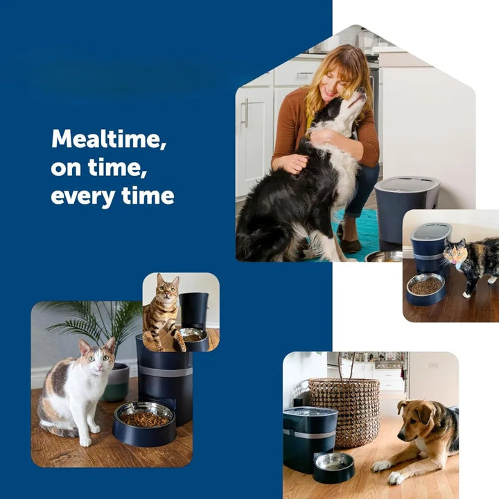 Smart Feed Electronic Pet Feeder - Slay Co INTL