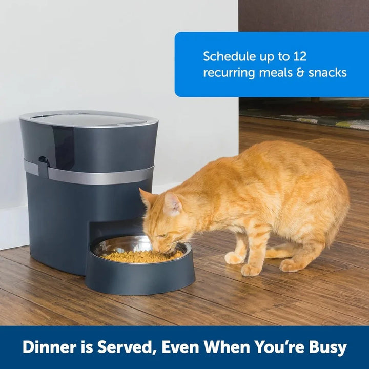 Smart Feed Electronic Pet Feeder - Slay Co INTL